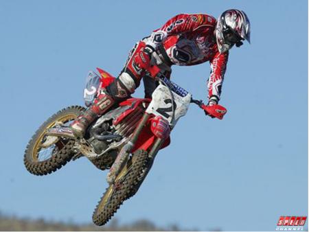 pichon